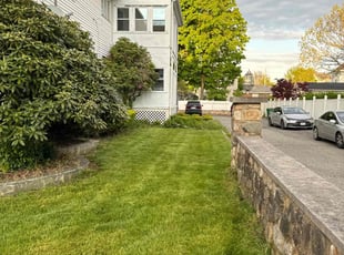 Jared B.'s grass maintenance service result