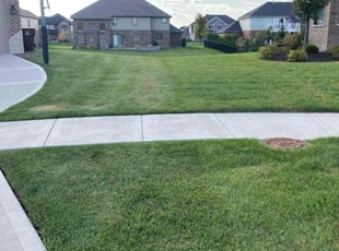 Ian F.'s lawn maintenance service result