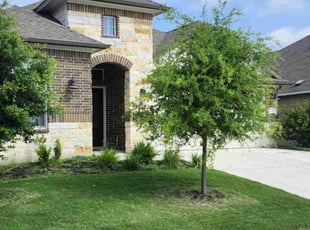 Elaine R.'s lawn care services service result