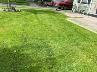 Stacy S.'s grass maintenance service result