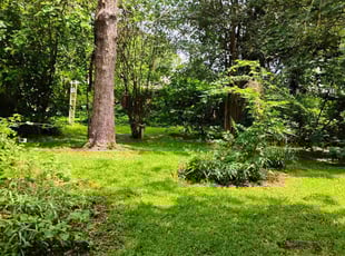 Aaron H.'s lawn care service result