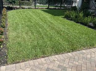 Arya M.'s grass cutting service result