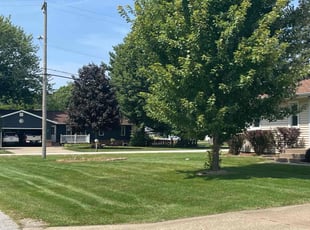 Trevor G.'s lawn service service result