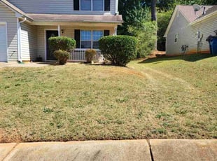 Brett T.'s lawn service service result