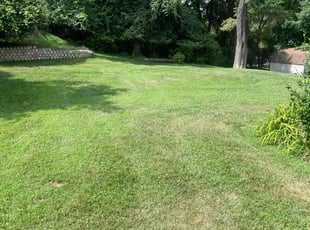 Sharon G.'s lawn care service result