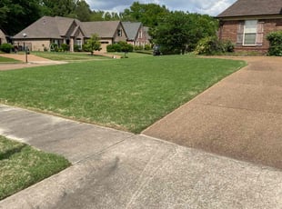 Lee C.'s turf care service result