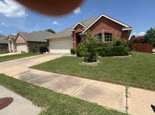 Catherine L.'s grass maintenance service result