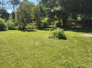 Wayne J.'s grass cutting service result