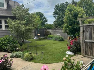 Kim B.'s lawn care services service result