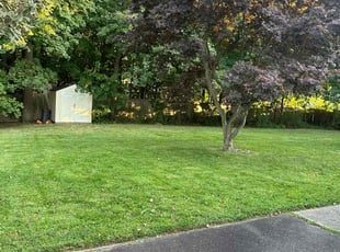 Rosalyn W.'s grass maintenance service result