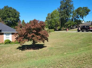 Landon T.'s lawn care service result