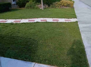 Dona W.'s lawn maintenance service result