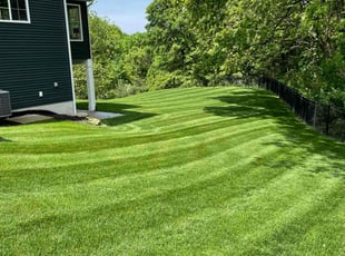 Janice D.'s lawn care services service result