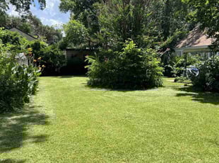 Beth B.'s lawn care service result