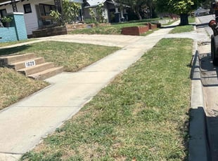 Kyle R.'s lawn service service result