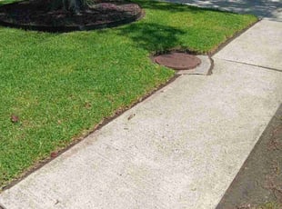 Laura D.'s lawn care service result