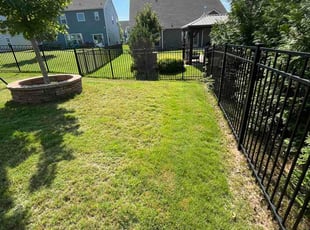 Darcy R.'s grass cutting service result