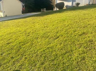Sara B.'s lawn care services service result