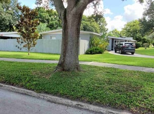 James W.'s grass maintenance service result