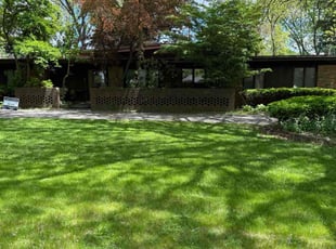 Nick P.'s turf care service result