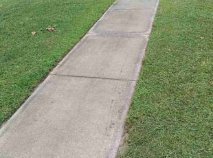 Lisa P.'s lawn care services service result