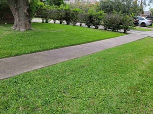 Valencia H.'s grass maintenance service result