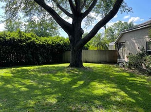 Jane R.'s turf maintenance service result