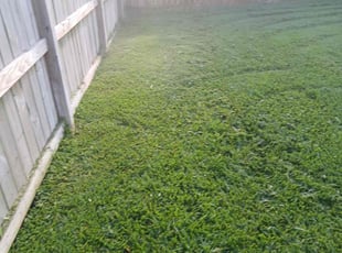 Sally S.'s lawn care service result