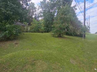 Mario C.'s lawn service service result