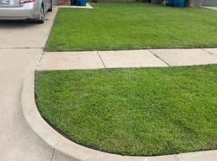 David M.'s turf maintenance service result