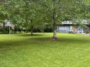 Betsy A.'s lawn maintenance service result