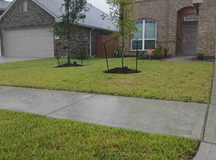 Zoe P.'s lawn care services service result