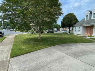 Tobin S.'s lawn care services service result