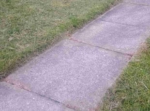 James F.'s Long Grass Cleanup service result