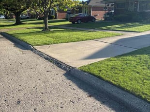 Justin P.'s lawn care service result