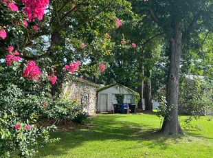 Arlene O.'s landscaping service result