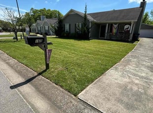 Craig M.'s lawn service service result