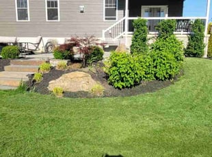 Tasha N.'s Flower Bed Weeding service result