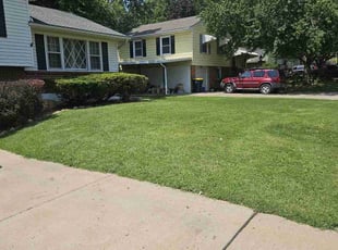 Mayzella W.'s lawn care services service result