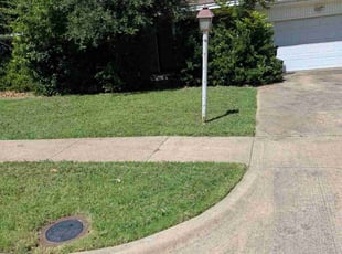 Nissa C.'s lawn care service result