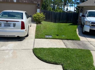 Angelita R.'s lawn service service result