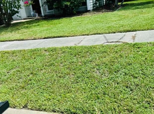Ross C.'s turf care service result