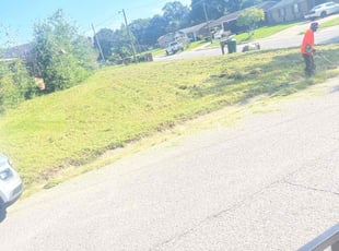 Gary A.'s turf care service result