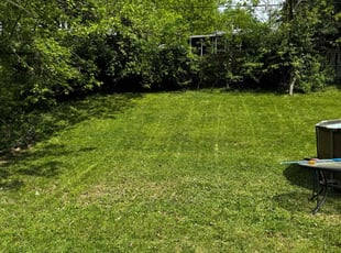 Anil K.'s turf maintenance service result