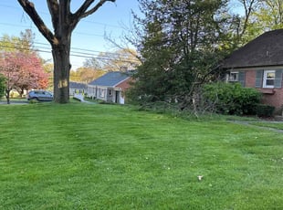 Rosa S.'s turf maintenance service result