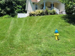 Miguel R.'s turf maintenance service result