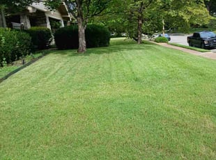 (BJ) Barbara B.'s lawn maintenance service result