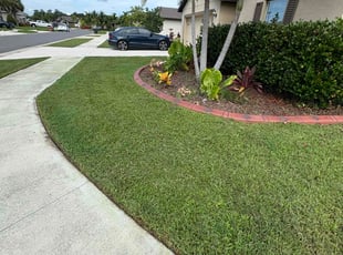 Cassandra W.'s lawn maintenance service result