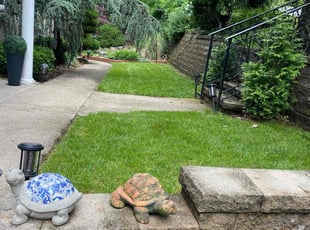 Dani M.'s grass cutting service result