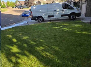 Anton Y.'s lawn maintenance service result
